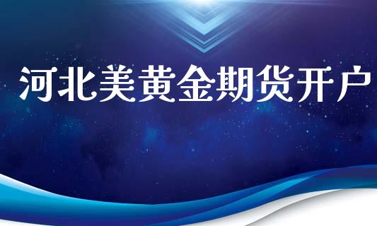 河北美黄金期货开户_https://www.fsyjjx.cn_理财资讯_第1张