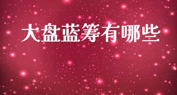 大盘蓝筹有哪些_https://www.fsyjjx.cn_股票指导_第1张