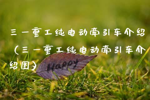 三一重工纯电动牵引车介绍（三一重工纯电动牵引车介绍图）_https://www.fsyjjx.cn_股票指导_第1张