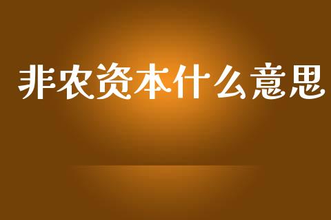 非农资本什么意思_https://www.fsyjjx.cn_股市分析_第1张