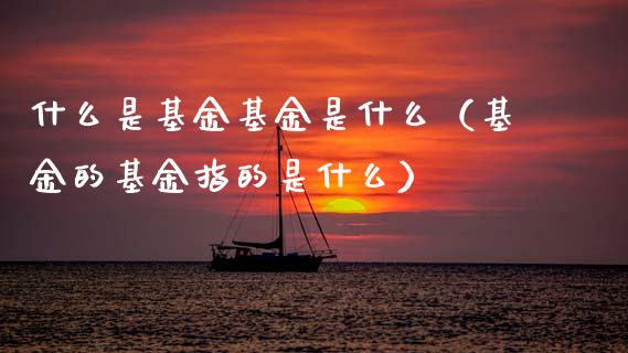 什么是基金基金是什么（基金的基金指的是什么）_https://www.fsyjjx.cn_问财精选_第1张