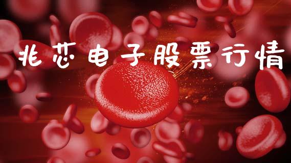 兆芯电子股票行情_https://www.fsyjjx.cn_股票指导_第1张