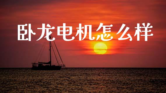 卧龙电机怎么样_https://www.fsyjjx.cn_期货研报_第1张