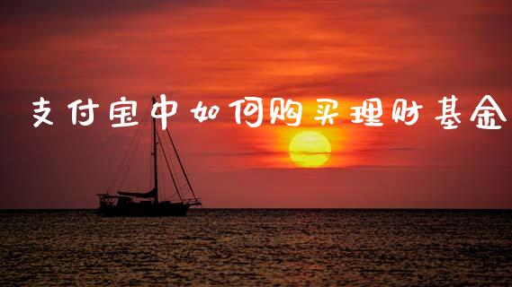 支付宝中如何购买理财基金_https://www.fsyjjx.cn_理财资讯_第1张