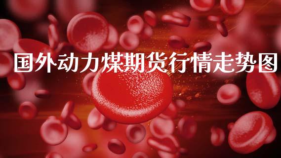 国外动力煤期货行情走势图_https://www.fsyjjx.cn_期货研报_第1张