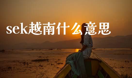 sek越南什么意思_https://www.fsyjjx.cn_期货研报_第1张