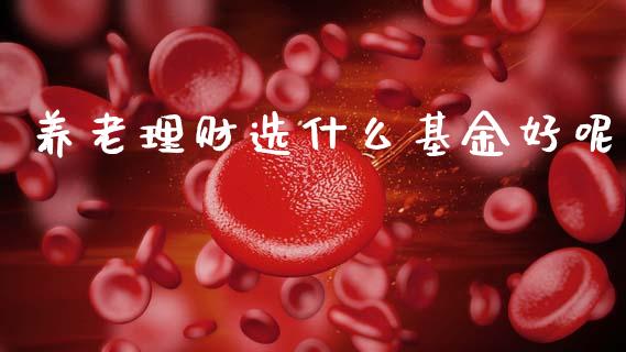 养老理财选什么基金好呢_https://www.fsyjjx.cn_问财精选_第1张