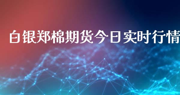 白银郑棉期货今日实时行情_https://www.fsyjjx.cn_期货资讯_第1张
