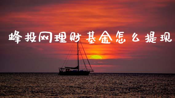 蜂投网理财基金怎么提现_https://www.fsyjjx.cn_理财资讯_第1张