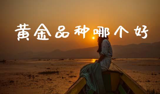 黄金品种哪个好_https://www.fsyjjx.cn_期货资讯_第1张