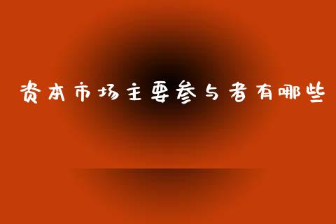 资本市场主要参与者有哪些_https://www.fsyjjx.cn_问财精选_第1张