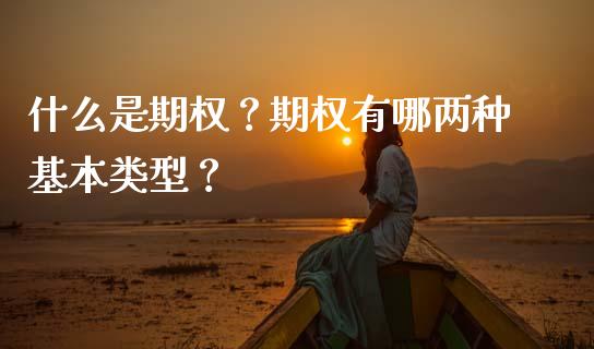 什么是期权？期权有哪两种基本类型？_https://www.fsyjjx.cn_期货研报_第1张