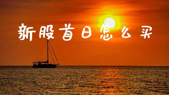 新股首日怎么买_https://www.fsyjjx.cn_问财精选_第1张