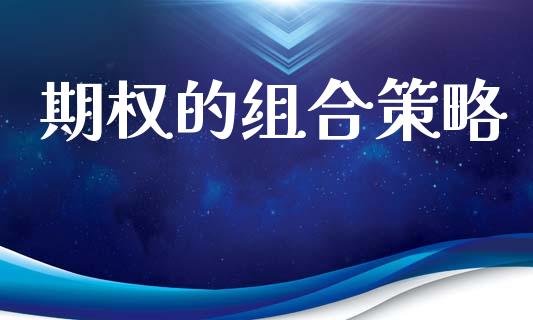 期权的组合策略_https://www.fsyjjx.cn_问财精选_第1张