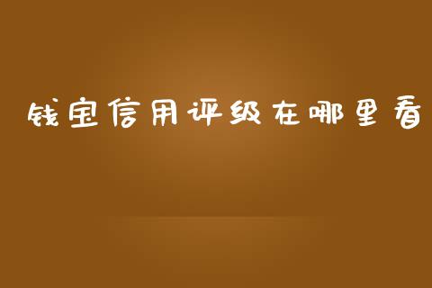 钱宝信用评级在哪里看_https://www.fsyjjx.cn_期货在线_第1张