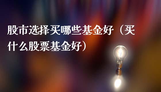 股市选择买哪些基金好（买什么股票基金好）_https://www.fsyjjx.cn_问财精选_第1张