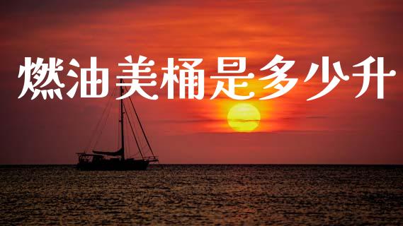 燃油美桶是多少升_https://www.fsyjjx.cn_理财资讯_第1张