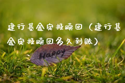 建行基金定投赎回（建行基金定投赎回多久到账）_https://www.fsyjjx.cn_理财资讯_第1张