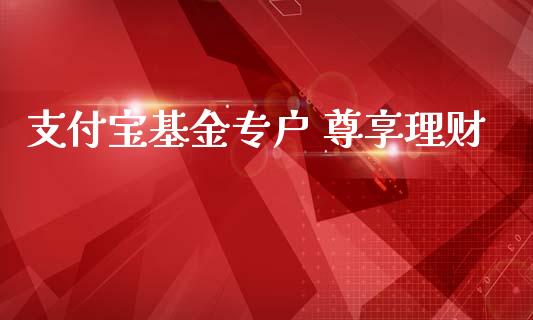 支付宝基金专户 尊享理财_https://www.fsyjjx.cn_问财精选_第1张