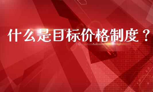 什么是目标价格制度？_https://www.fsyjjx.cn_期货在线_第1张