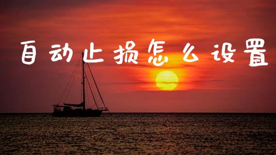 自动止损怎么设置_https://www.fsyjjx.cn_问财精选_第1张