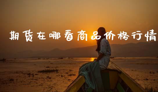 期货在哪看商品价格行情_https://www.fsyjjx.cn_期货资讯_第1张
