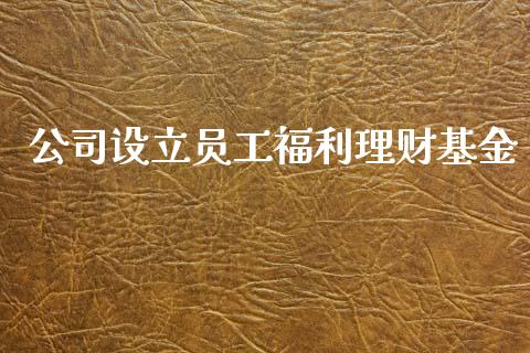 公司设立员工福利理财基金_https://www.fsyjjx.cn_问财精选_第1张