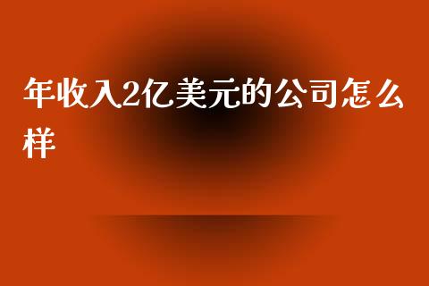 年收入2亿美元的公司怎么样_https://www.fsyjjx.cn_股市分析_第1张