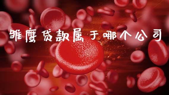 雏鹰贷款属于哪个公司_https://www.fsyjjx.cn_期货资讯_第1张