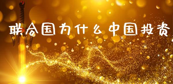 联合国为什么中国投资_https://www.fsyjjx.cn_问财精选_第1张