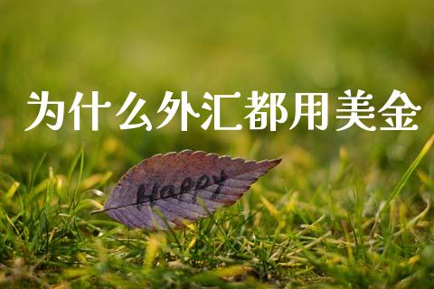 为什么外汇都用美金_https://www.fsyjjx.cn_股市分析_第1张
