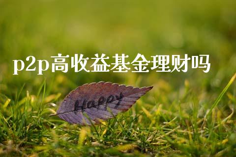 p2p高收益基金理财吗_https://www.fsyjjx.cn_问财精选_第1张