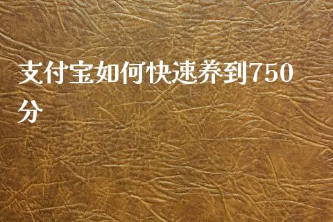 支付宝如何快速养到750分_https://www.fsyjjx.cn_股指期货_第1张