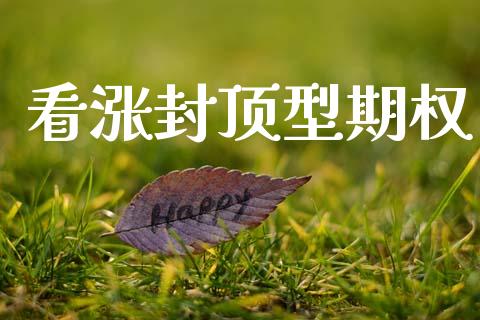 看涨封顶型期权_https://www.fsyjjx.cn_期货研报_第1张