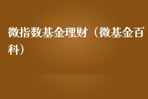微指数基金理财（微基金百科）_https://www.fsyjjx.cn_问财精选_第1张