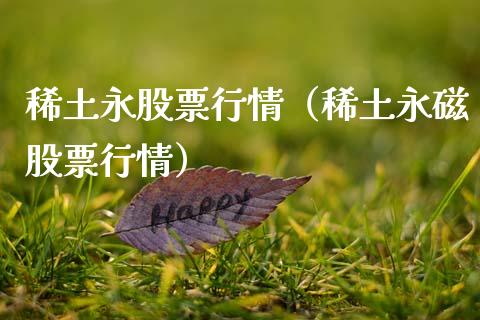 稀土永股票行情（稀土永磁股票行情）_https://www.fsyjjx.cn_股指期货_第1张