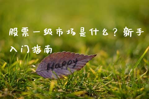 股票一级市场是什么？新手入门指南_https://www.fsyjjx.cn_股票指导_第1张