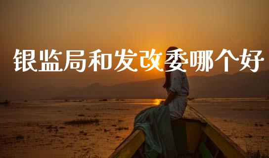 银监局和发改委哪个好_https://www.fsyjjx.cn_期货在线_第1张