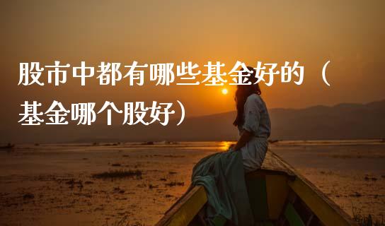 股市中都有哪些基金好的（基金哪个股好）_https://www.fsyjjx.cn_理财资讯_第1张