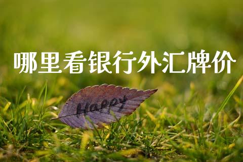 哪里看银行外汇牌价_https://www.fsyjjx.cn_理财资讯_第1张