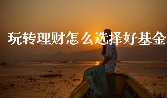 玩转理财怎么选择好基金_https://www.fsyjjx.cn_问财精选_第1张