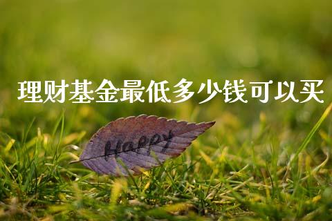 理财基金最低多少钱可以买_https://www.fsyjjx.cn_问财精选_第1张