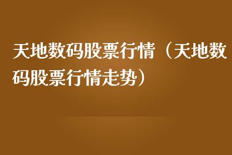 天地数码股票行情（天地数码股票行情走势）_https://www.fsyjjx.cn_股指期货_第1张