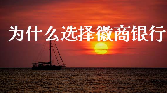 为什么选择徽商银行_https://www.fsyjjx.cn_股市分析_第1张