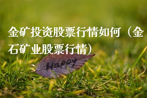 金矿投资股票行情如何（金石矿业股票行情）_https://www.fsyjjx.cn_股市分析_第1张
