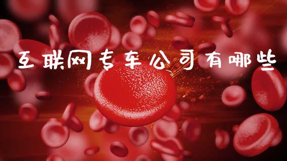 互联网专车公司有哪些_https://www.fsyjjx.cn_期货在线_第1张