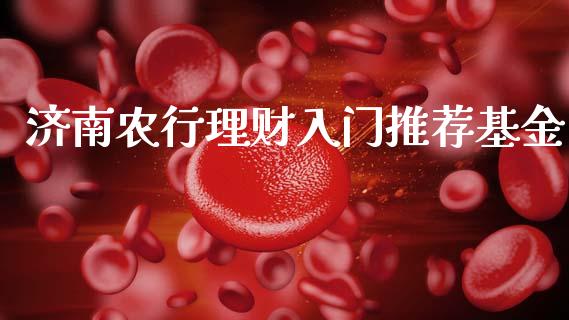 济南农行理财入门推荐基金_https://www.fsyjjx.cn_问财精选_第1张