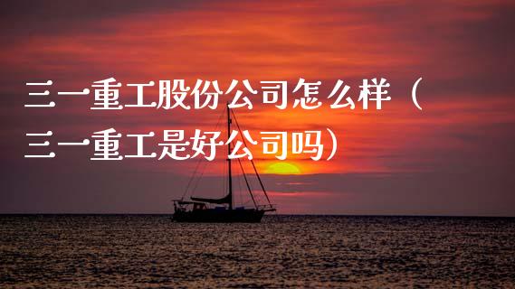 三一重工股份公司怎么样（三一重工是好公司吗）_https://www.fsyjjx.cn_股指期货_第1张