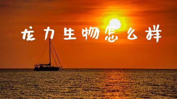 龙力生物怎么样_https://www.fsyjjx.cn_股市分析_第1张