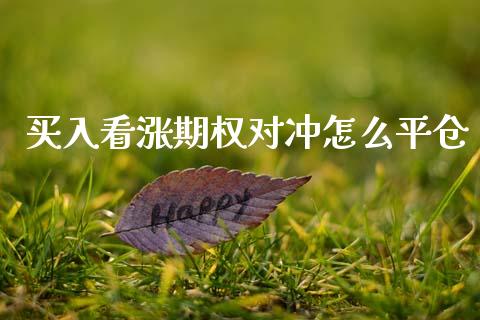 买入看涨期权对冲怎么平仓_https://www.fsyjjx.cn_股市分析_第1张